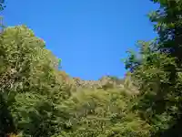 戸隠神社九頭龍社の自然