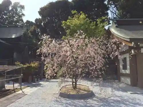 到津八幡神社(福岡県)