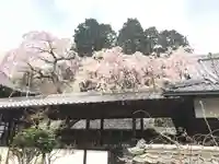 十輪寺(京都府)