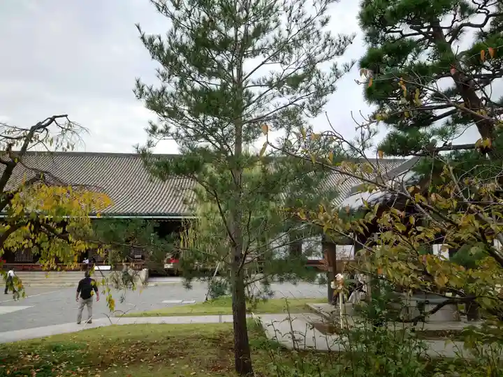 蓮華王院(三十三間堂)(京都府)