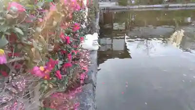 神泉苑(京都府)