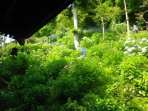 長谷寺のその他建物