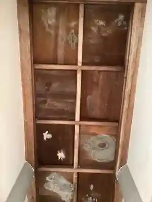 安楽寺(仙養山)の本殿・本堂