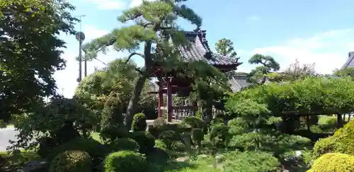 林泉寺の庭園