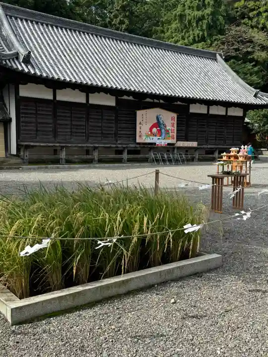 美濃國一宮 南宮大社(岐阜県)