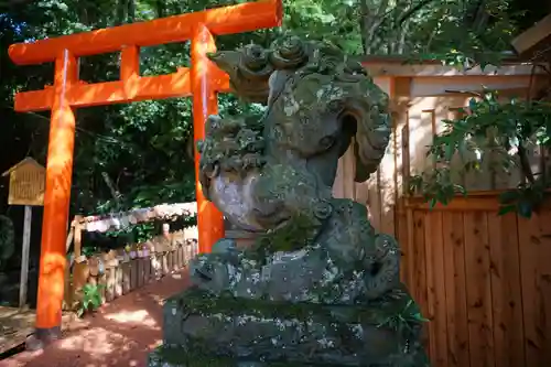 石浦神社の狛犬