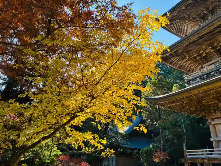 鶴林寺(徳島県)