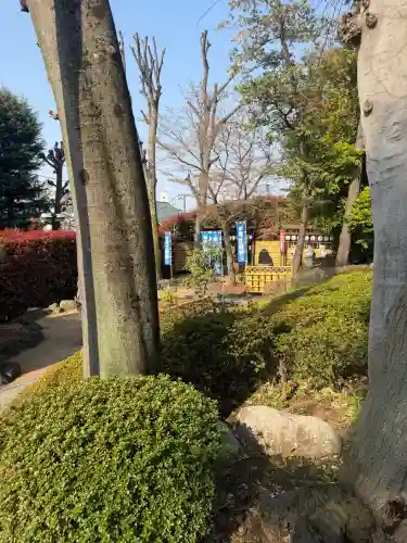 中野沼袋氷川神社の{uncategorized: "未分類", other: "その他", undefined: "問題あり", building: "その他建物", grave: "お墓", sacred_gate: "鳥居", guardian: "狛犬", statue: "像", buddha: "仏像", history: "歴史", nature: "自然", garden: "庭園", animal: "動物", pagoda: "塔", temizu: "手水舎", mountain_gate: "山門・神門", sanctuary: "本殿・本堂", subordinate: "末社・摂社", art: "芸術", scenery: "景色", jizo: "地蔵", ema: "絵馬", goshuin: "御朱印", omikuji: "おみくじ", items: "授与品その他", amulet: "お守り", goshuincho: "御朱印帳", eats: "食事", festival: "お祭り", votive_dance: "神楽", shichigosan: "七五三参", wedding: "結婚式", experience: "体験その他", initially: "初詣", around: "周辺", anti_infection: "感染症対策"}