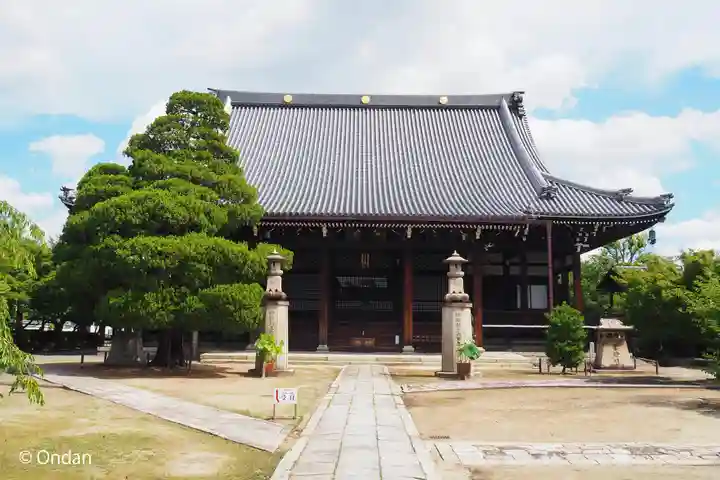 妙顯寺(妙顕寺)(京都府)
