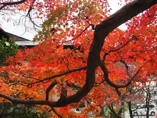 鎌倉宮(神奈川県)