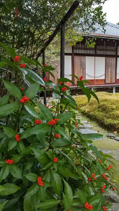 霊鑑寺門跡(京都府)