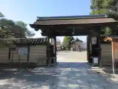 東寺（教王護国寺）(京都府)