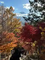 新倉富士浅間神社(山梨県)