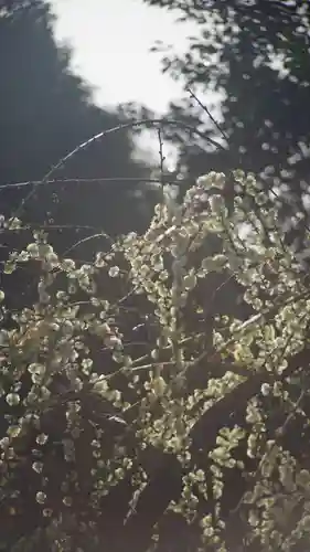 城南宮(京都府)