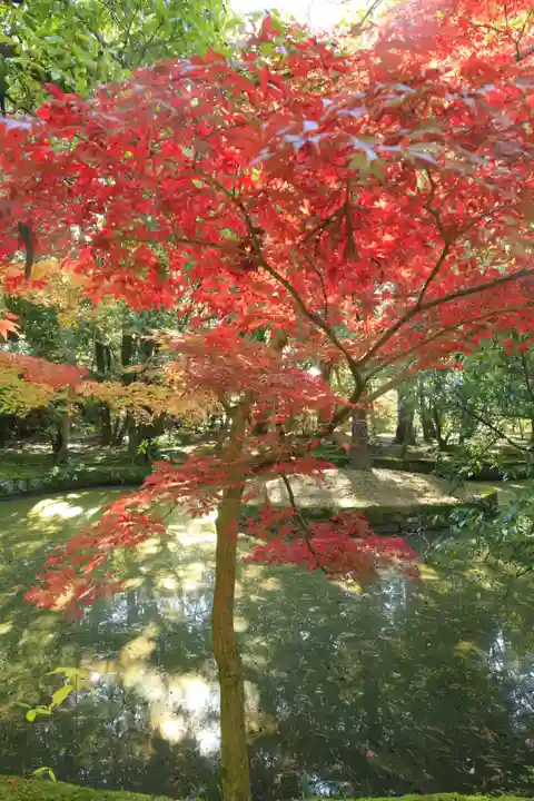 唐招提寺(奈良県)