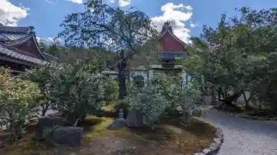 法然寺(京都府)