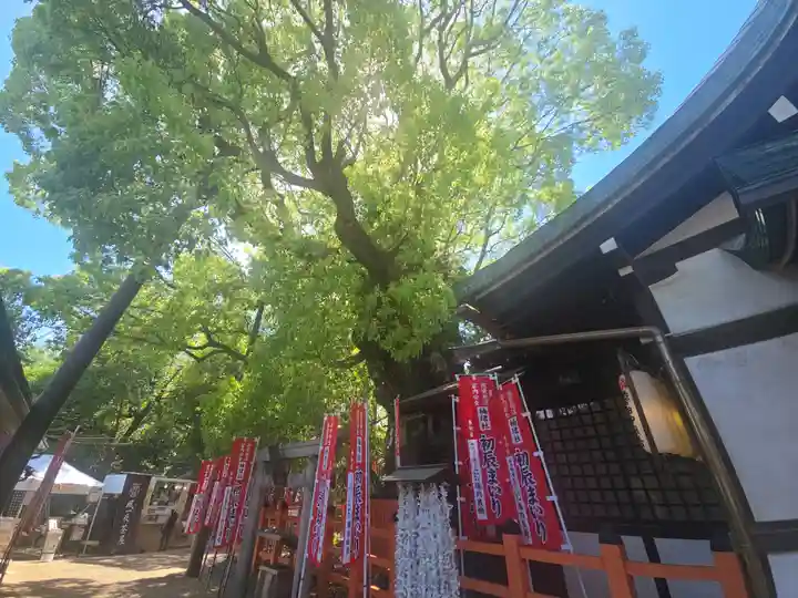 楠珺社(住吉大社末社)(大阪府)