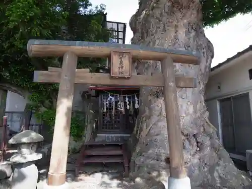 槻井泉神社の鳥居