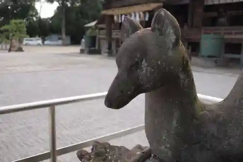 箭弓稲荷神社の狛犬