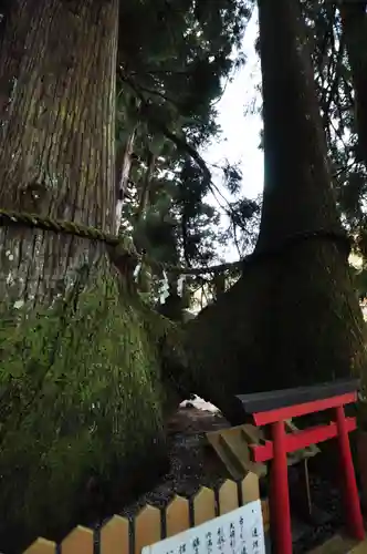 室生龍穴神社(奈良県)