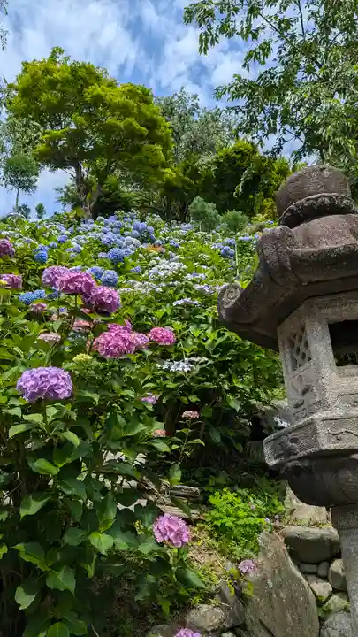 善峯寺(京都府)
