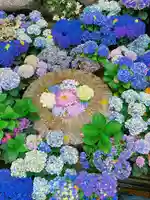 岡寺(龍蓋寺)(奈良県)