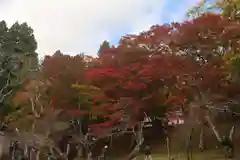 土津神社｜こどもと出世の神さまの自然