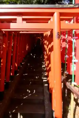 日枝神社の鳥居