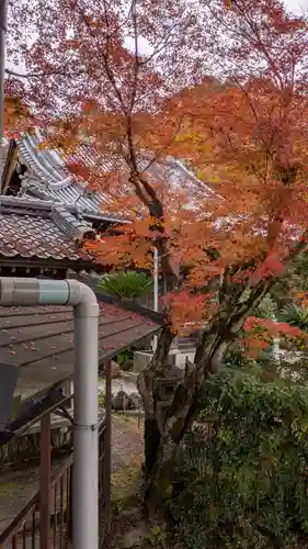 三明院(京都府)