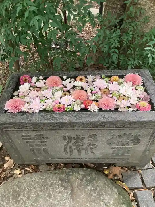 行田八幡神社(埼玉県)