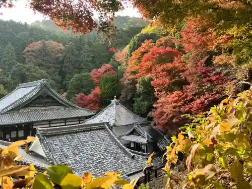 柳谷観音　楊谷寺(京都府)