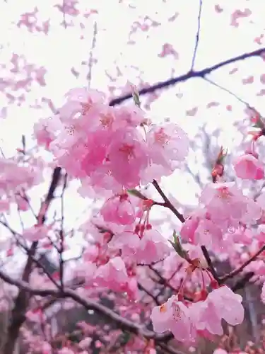 土津神社｜こどもと出世の神さまの自然