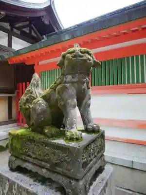 住吉神社の狛犬