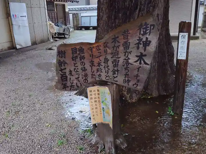 姪浜住吉神社(福岡県)