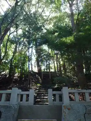 寒川神社(神奈川県)