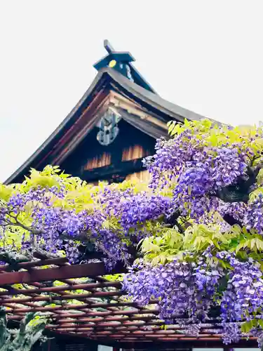 曼陀羅寺の自然