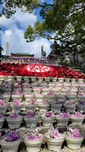 防府天満宮の{uncategorized: "未分類", other: "その他", undefined: "問題あり", building: "その他建物", grave: "お墓", sacred_gate: "鳥居", guardian: "狛犬", statue: "像", buddha: "仏像", history: "歴史", nature: "自然", garden: "庭園", animal: "動物", pagoda: "塔", temizu: "手水舎", mountain_gate: "山門・神門", sanctuary: "本殿・本堂", subordinate: "末社・摂社", art: "芸術", scenery: "景色", jizo: "地蔵", ema: "絵馬", goshuin: "御朱印", omikuji: "おみくじ", items: "授与品その他", amulet: "お守り", goshuincho: "御朱印帳", eats: "食事", festival: "お祭り", votive_dance: "神楽", shichigosan: "七五三参", wedding: "結婚式", experience: "体験その他", initially: "初詣", around: "周辺", anti_infection: "感染症対策"}