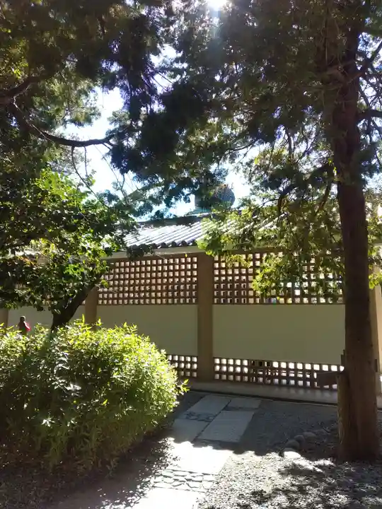 高徳院の本殿・本堂