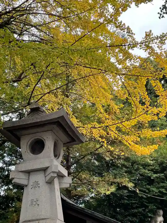 諏訪神社(東京都)