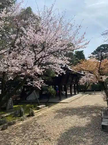 御香宮神社の自然