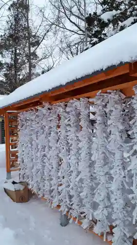 錦山天満宮のおみくじ