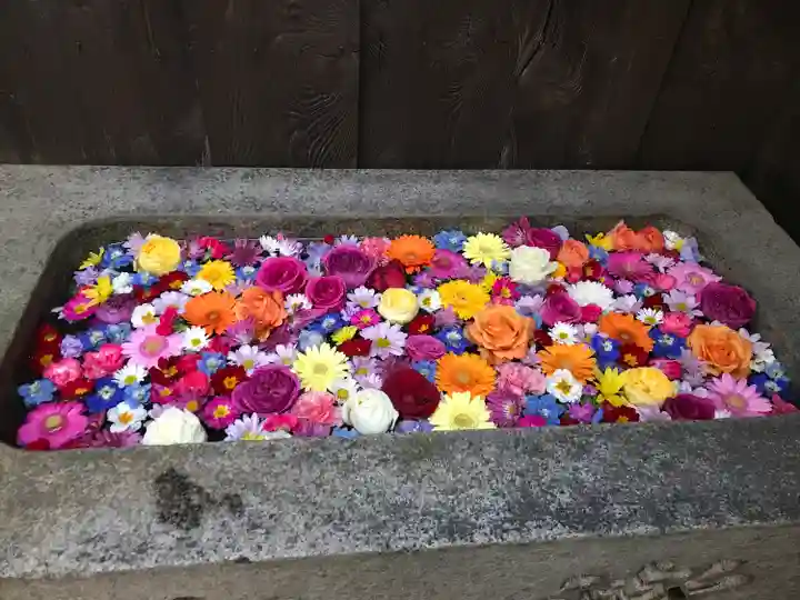 宝林寺の手水舎