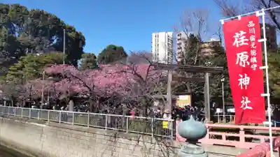 荏原神社(東京都)