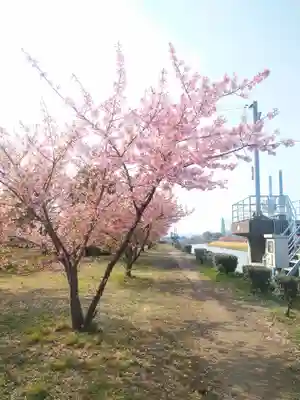 大己貴神社の自然