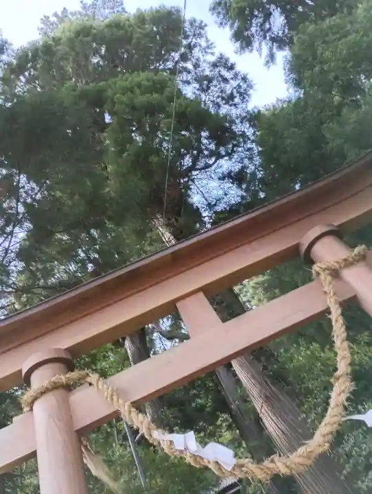 八幡神社の{uncategorized: "未分類", other: "その他", undefined: "問題あり", building: "その他建物", grave: "お墓", sacred_gate: "鳥居", guardian: "狛犬", statue: "像", buddha: "仏像", history: "歴史", nature: "自然", garden: "庭園", animal: "動物", pagoda: "塔", temizu: "手水舎", mountain_gate: "山門・神門", sanctuary: "本殿・本堂", subordinate: "末社・摂社", art: "芸術", scenery: "景色", jizo: "地蔵", ema: "絵馬", goshuin: "御朱印", omikuji: "おみくじ", items: "授与品その他", amulet: "お守り", goshuincho: "御朱印帳", eats: "食事", festival: "お祭り", votive_dance: "神楽", shichigosan: "七五三参", wedding: "結婚式", experience: "体験その他", initially: "初詣", around: "周辺", anti_infection: "感染症対策"}