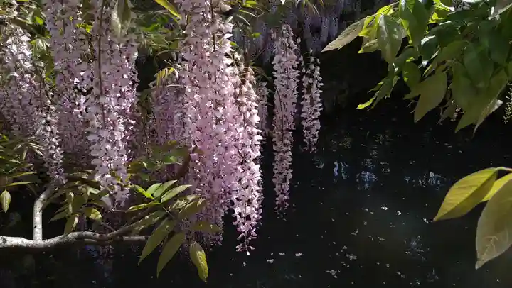 歌泉堂(春日大社神苑萬葉植物園内鎮座)(奈良県)