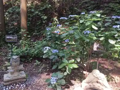 鷲子山上神社(栃木県)