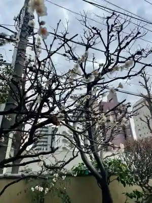 了源院(東京都)