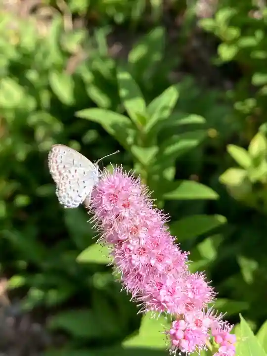 十二山神社(群馬県)