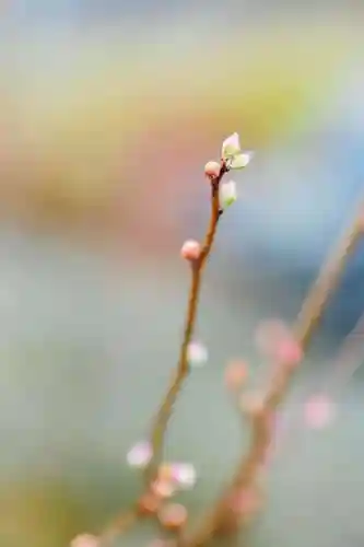 浄土寺(兵庫県)